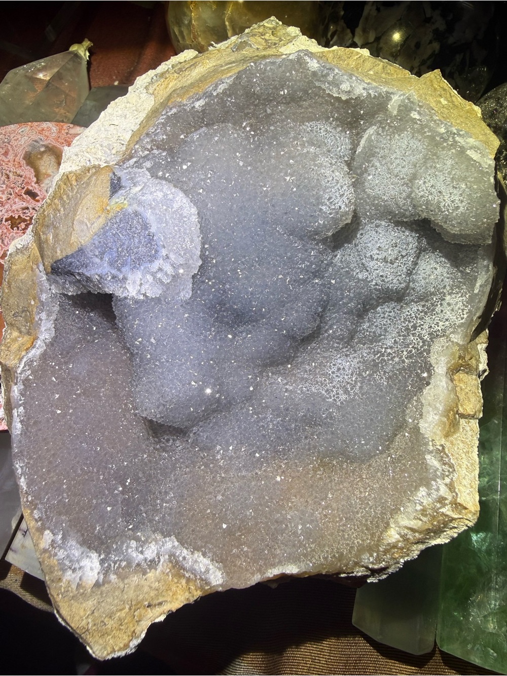 Florida Agatized Druzy Coral 🪸